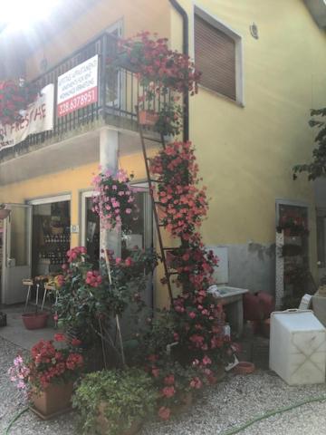 Agriresidence San Pietro Bibione Extérieur photo